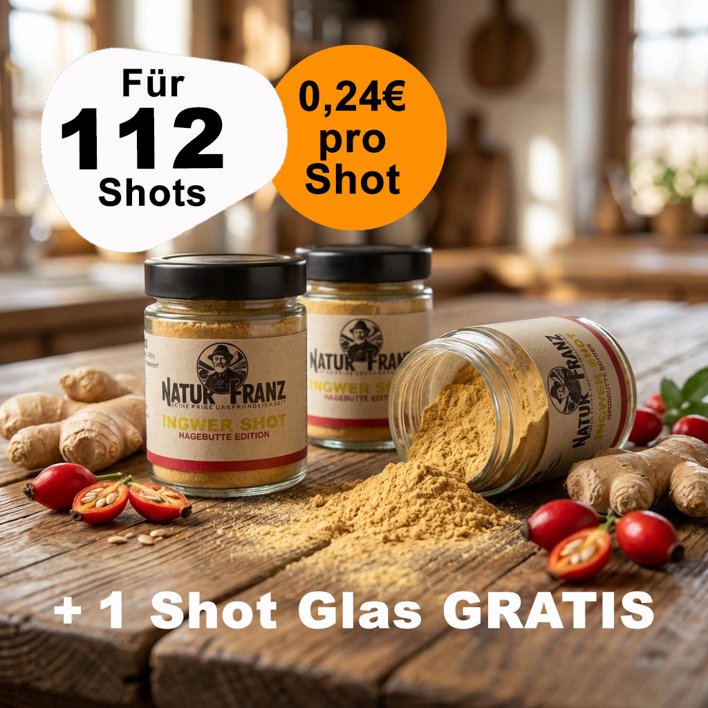 3er Bundle Ingwer Shot Hagebutte + 1 Shot Glas GRATIS