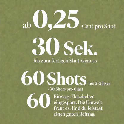 2x Ingwer Shot Pulver: Bio-Ingwer mit Mango, Kurkuma &amp; Chili – ohne Zucker, selbst zubereiten